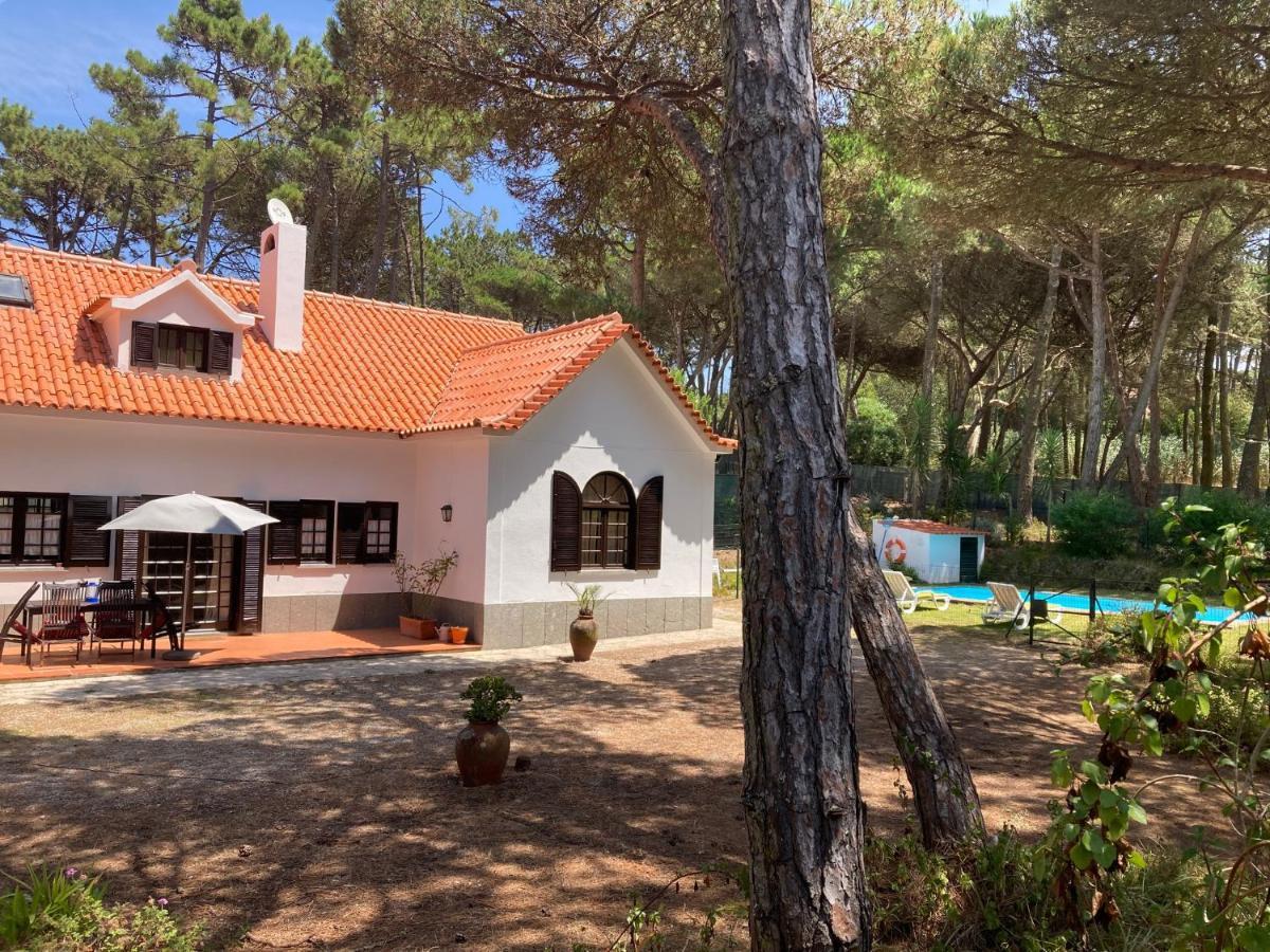 Moradia No Pinhal Com Piscina - Espaco E Privacidade Para As Suas Ferias! Sintra Exteriér fotografie