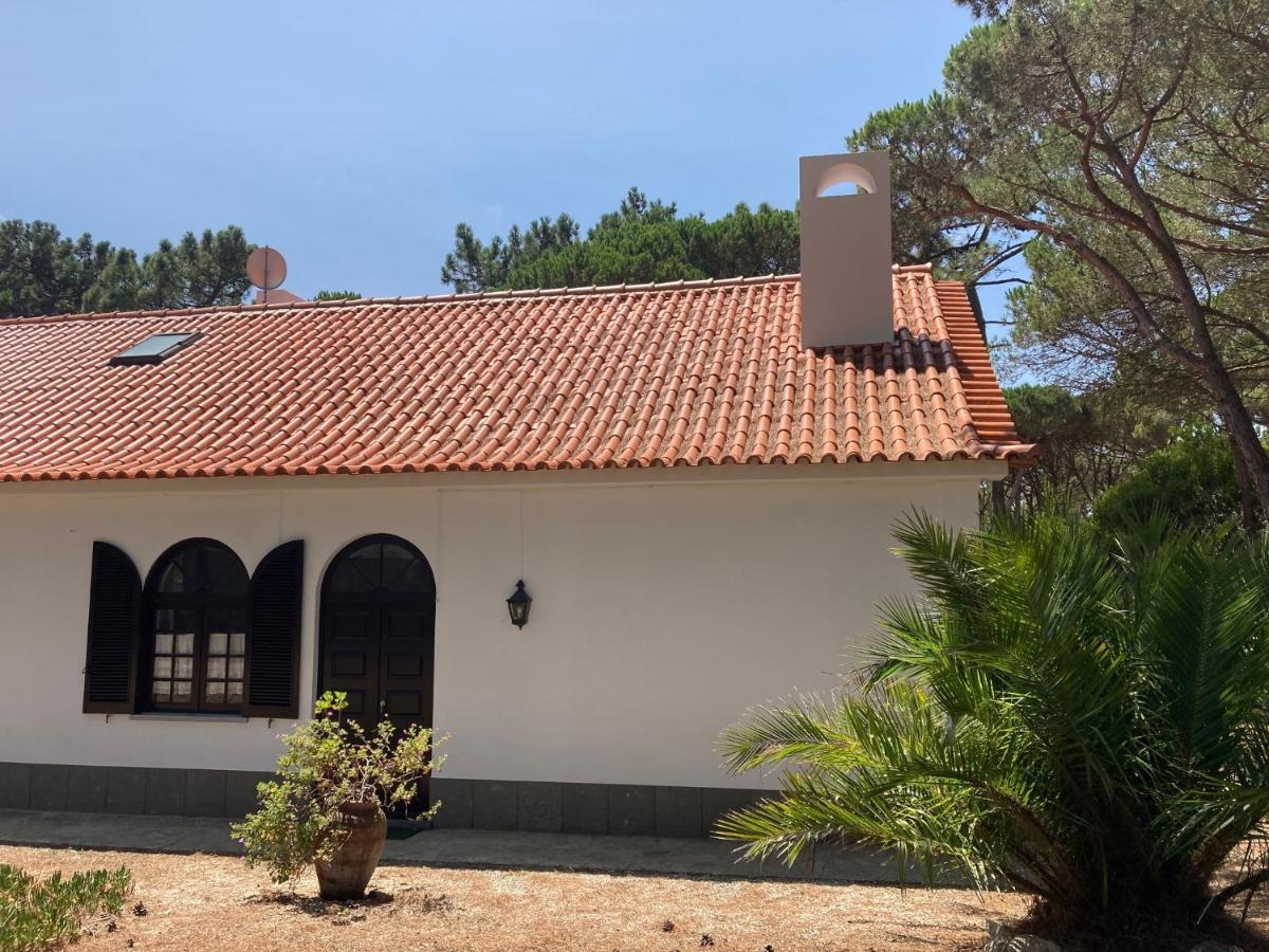 Moradia No Pinhal Com Piscina - Espaco E Privacidade Para As Suas Ferias! Sintra Exteriér fotografie